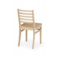 Alastek Allegro 01 Käsinojaton ruokapöydän tuoli | Alastek hoivakalusteet