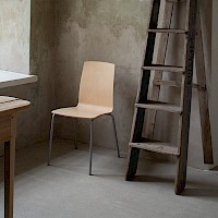 Toimi koivuvaneri tuoli | Alastek julkitilakalusteet